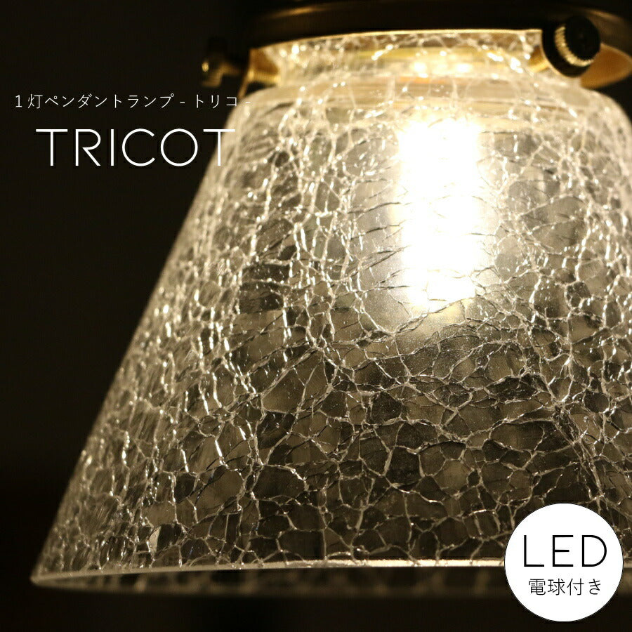 【ミニレトロ型 LED付き】ペンダントランプ tricot - トリコ - ライト ダクトレールリビング ダイニング レールライト　廊下 玄関 店舗 インテリア インダストリアル ヴィンテージ アンティーク オールドニューヨーク