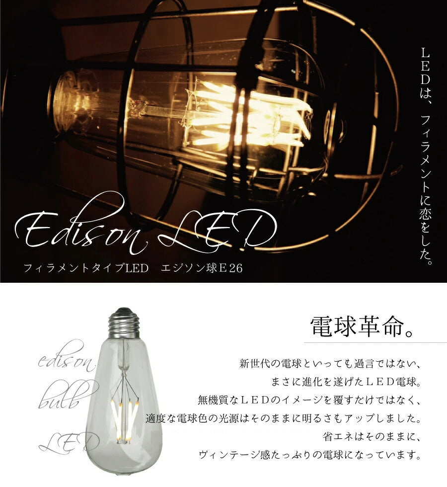 エジソン型LED電球  E26 電球色  フィラメント型LED　filamentled - 2