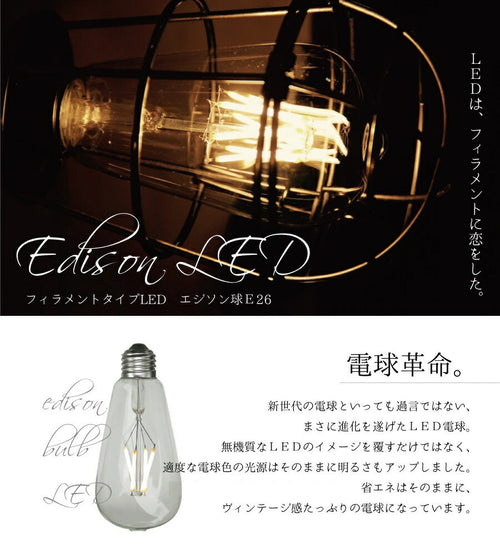 エジソン型LED電球  E26 電球色  フィラメント型LED　filamentled - 2