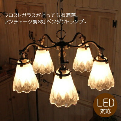 790 BA05SS （５灯ペンダントランプ）rmp pdt( ペンダントライト 照明 LED電球 おしゃれ リビング用 北欧 和室 ダイニング用 LED 玄関 ダイニング用 食卓用　間接照明 ダイニング ) キャンドール