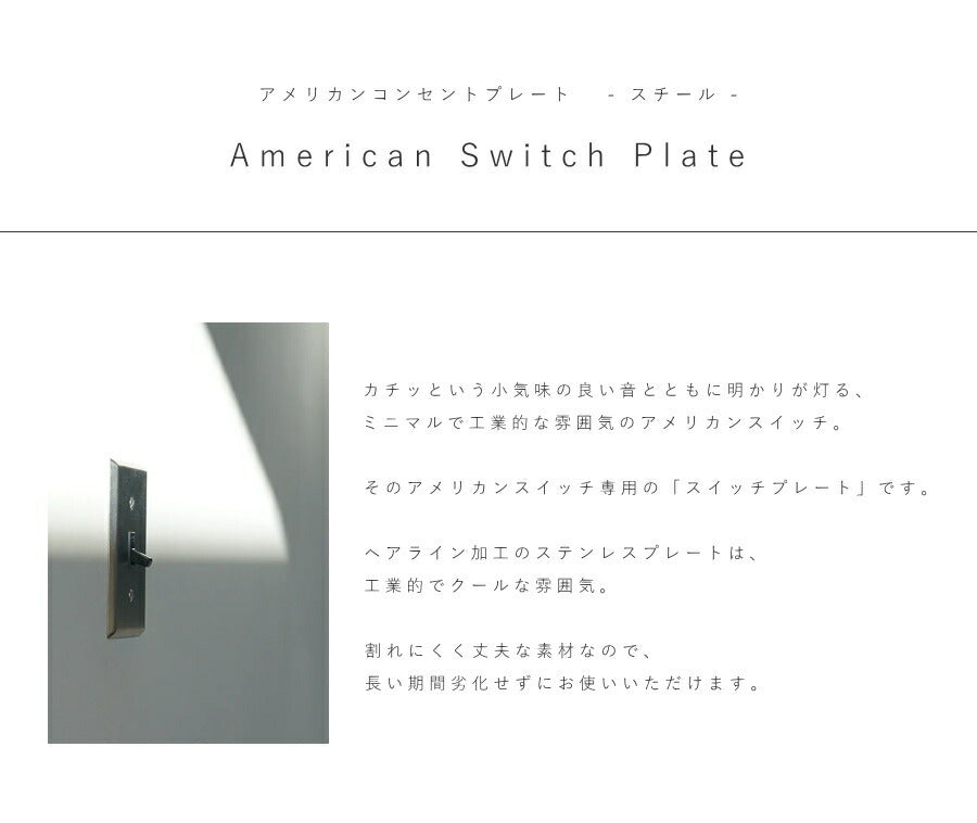 【 スチール スイッチプレート ヘアライン 】 アメリカンスイッチ スイッチ 照明 照明器具 ペンダントランプ  北欧 レトロ ナチュラル 雑貨 アメリカンスイッチ DIY   蛍スイッチ 1口 2口 - 2