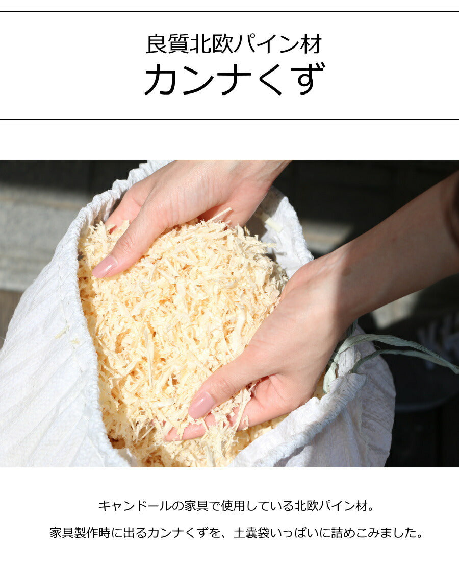カンナくず 北欧パイン材おがくず 約1.3kg 廃棄油吸着 堆肥 クッション材 着火材 おが粉 緩衝 焚火 焚き火 かんなくず パイン材 北欧 アウトレット - 2