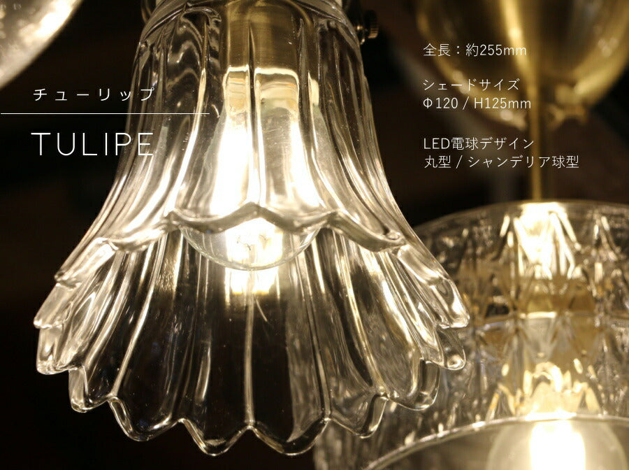 laforme　1灯 ペンダントランプ  (ラファルム・1灯ペンダントランプ)  1灯 ガラスシェード 丸型 引っ掛けシーリング対応 取り付け簡単 天井照明 新築 リフォーム リノベーション ガラス  - 7