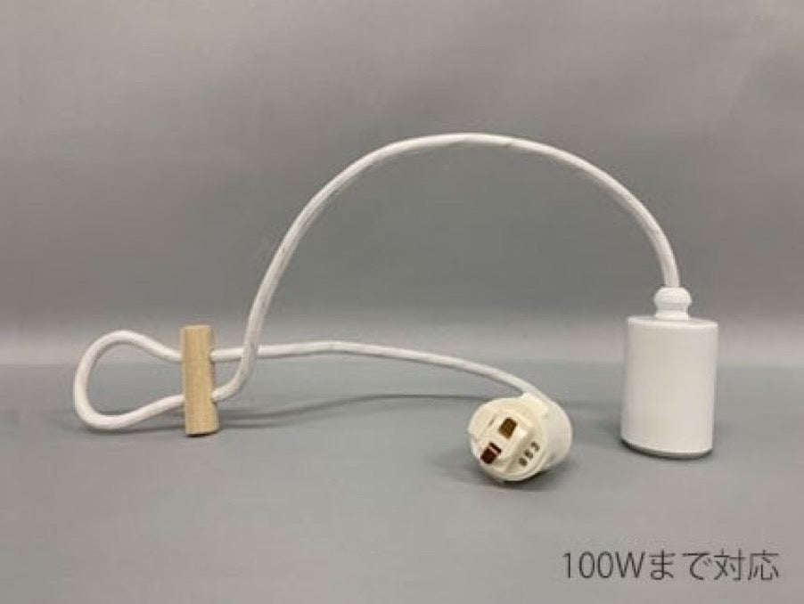 【エジソン型 レトロ型 LED付き】　ペンダントライト 天井照明 ダクトレールプラグ リビング ダイニング 廊下 玄関 店舗 インテリア ヴィンテージ アンティーク 工業 塩系 ブルックリンインダスト - 2