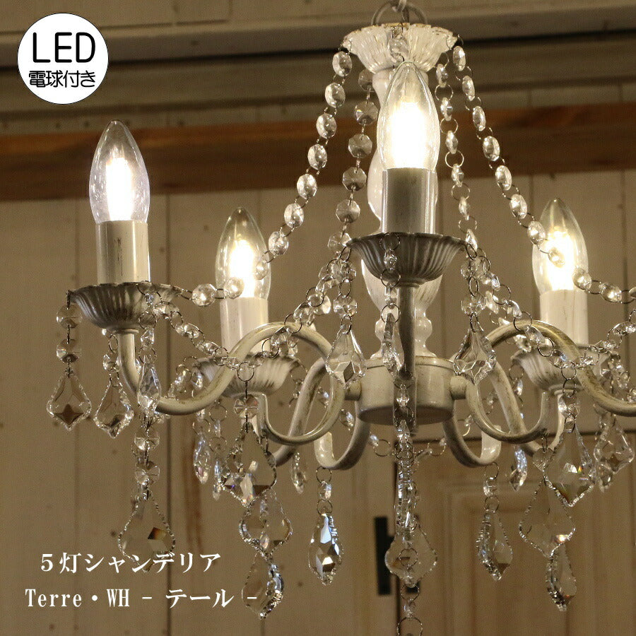 【LED電球付】Terre 5灯 シャンデリア WH  (テール・5灯シャンデリア)  照明  シーリングライト 天井照明 簡単取付 引っ掛けシーリング対応  アンティーク クラシック シンプル リビング ダイニング 玄関 寝室 店舗 リフ