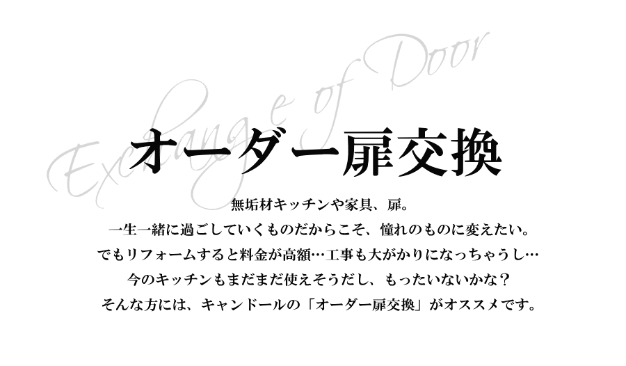 【日本製家具】高品質 低価格 キッチン扉交換 日本製 食器棚 キッチン扉交換 キャビネット 本棚 カントリーリフォーム カントリーキッチン カントリー - 2